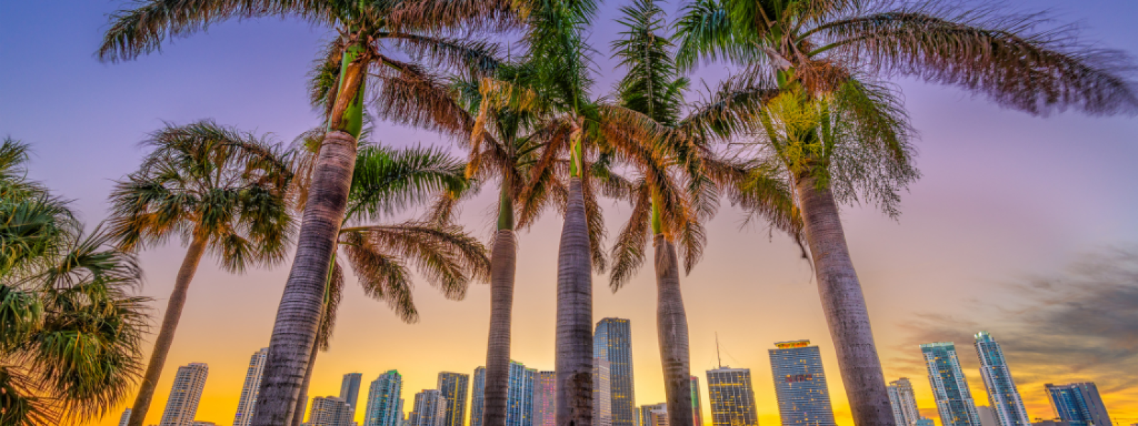 Airbnb Miami