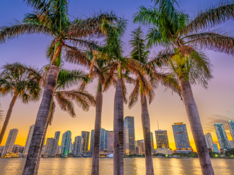 wp-content/uploads/2025/02/Airbnb-Miami.png